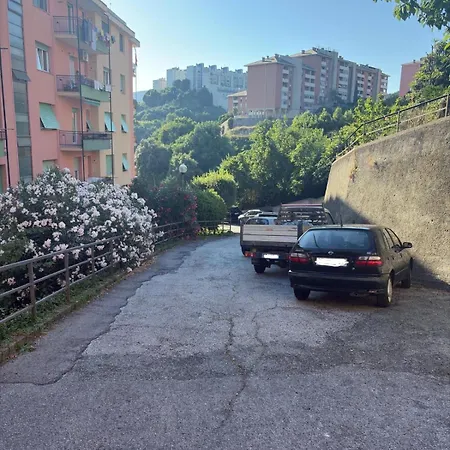 Frank's Sunset Genua