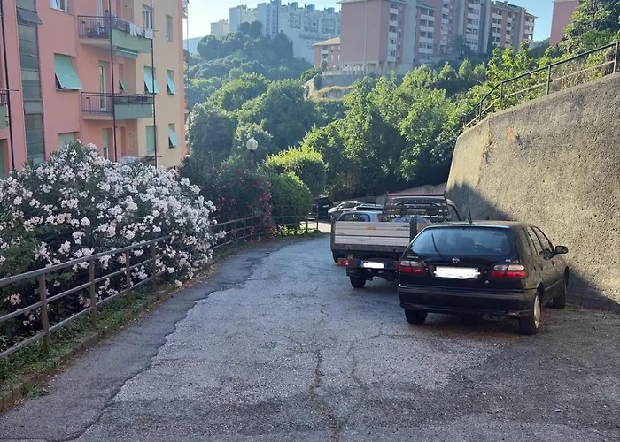 Frank's Sunset ג'נובה